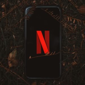 Professional Logo